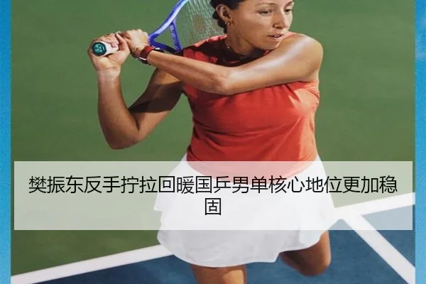 樊振东反手拧拉回暖国乒男单核心地位更加稳固